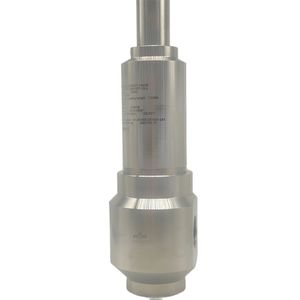 Válvula de Seguridad Weffluid 413 Bar de Acero Inoxidable Roscada para Agua, Aceite y Vapor Industrial - Product Image 1