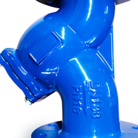 Bride de crépine en Y en fonte ductile DN15 DN800 30 "avec écran en acier inoxydable SS304 SS316 en Pipleline