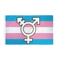 Impression personnalisée 100% polyester LGBTQ Transgender Symbol Pride Flag avec deux œillets