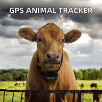 동물 로케이터 GPS 추적기 무료 APP Geo Fence 농장 보안 시스템 소 친화적 인 나일론 제작 플라스틱 지원 2G GSM GPRS LBS