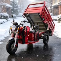 Tricycle électrique homologué CEE, capacité de charge 585 kg, caisse de chargement 1600x1175x550 mm, homologué en Europe, moteur 72V 1500W
