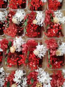 Mélange de Fleurs Séchées et Stabilisées en Gros, en Boîte ou en Sachet pour Bougies et Petits Matériaux de Résine DIY - Product Image 3