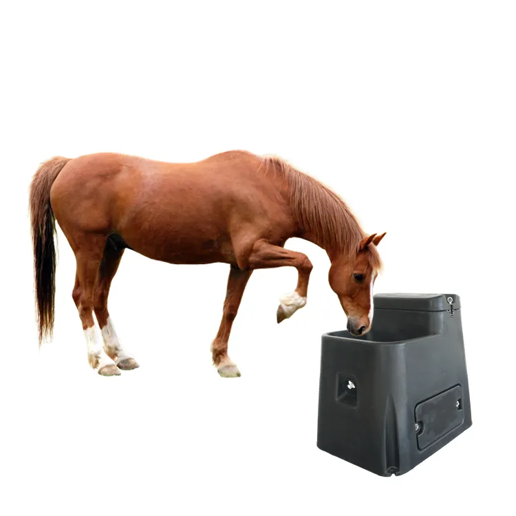 Beber água para cavalo, tanque de uso duradouro, cor personalizável, plástico cinza, calha de água quente e limpa para cavalo