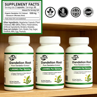 Prix d'usine – Complément alimentaire en capsules de pissenlit – Extrait naturel de racine de pissenlit – OEM pour la santé du foie et des reins