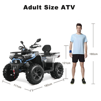 Quad Tao Motor 2025 250cc 4x2 Automatique à transmission par chaîne pour adultes, vente en gros, avec homologation EPA CE