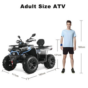 Tao Motor 2025 250cc ATV 4x2 cadena automática para adultos chinos al por mayor Quad Bike <span class=keywords><strong>250</strong></span> con EPA CE - Product Image 2