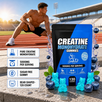 Gummies de créatine à marque privée 5000 mg par portion – Complément sportif pré-entraînement pour la force musculaire