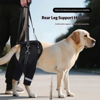 Sangle d'assistance réglable et robuste pour pattes arrière, en polyester, pour chiens âgés à mobilité réduite