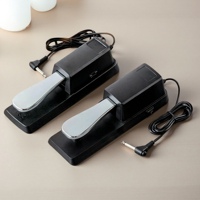 Factory Outlet Steel Electronic Piano Organ MIDI Keyboard Musical Instrument Single Pedal Sustain Pedal