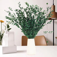 Liviflo Feuilles d'Eucalyptus Cinerea Naturelles Préservées, Feuilles Séchées 'Silver Dollar' avec Préservation à la Glycérine, pour Décoration Éternelle Maison et Mariage