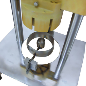 Machine à peler les ananas pour les magasins de fruits - Product Image 6