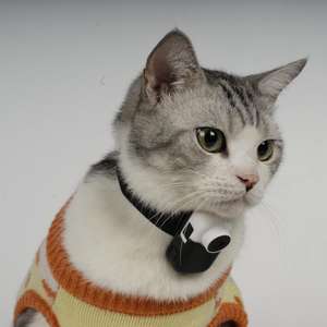 Caméscope numérique portable 1080p Mini <span class=keywords><strong>DV</strong></span> de poche pour animaux de compagnie pour le suivi d'activité des animaux de compagnie - Product Image 2