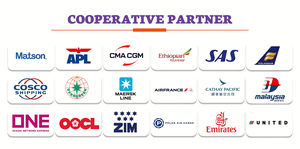 Paiement en espèces de livraison de la société de logistique transitaires d'importation pour l'expédition de fret Slovaquie Chypre Norvège-Air Trucking <span class=keywords><strong>Services</strong></span> - Product Image 4