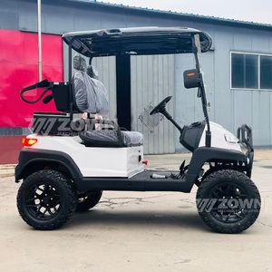 Carrito de Golf Eléctrico Elevado de 2 Plazas, Color Blanco Puro, Parachoques Delantero de Metal, Neumáticos Todoterreno para Uso en Campos de Golf - Product Image 5