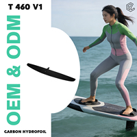 Aile arrière en carbone pour hydrofoil à pompe, prête à être expédiée, 460/65, glisse stable, stabilisateur arrière, pour Efoil à longue distance