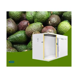 DOLUYO Supermarket Freezer All In 1 Cold Room Price Solution Include Refrigeration Unit Set Cold Room Panel And Door