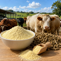 WMK Vitamine E 50% Qualité Alimentaire DL-Alpha Tocophéryl Acétate en Poudre Additif Nutritionnel pour Animaux CAS 2074-53-5 500UI Alimentation Animale