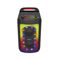 Enceinte sans fil BKK avec lumière RGB, 30W, enceinte portable pour karaoké