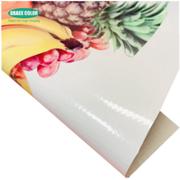 Bannière en PVC rétroéclairé 610 g/m² 18 oz 500x500D 18x12 Rouleau de caisson lumineux 3,20x50m pour impression numérique
