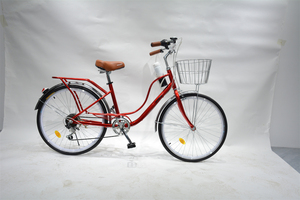 Vélo de ville 20 pouces, vélo de plage de bonne qualité, vélo pour femmes, fabriqué en Chine - Product Image 6