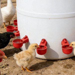 Bebederos automáticos para pollos, patos, gansos, codornices, pollitos, patos y aves; comederos para aves de corral. - Product Image 4