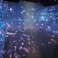 Promotion : Projecteur Holographique 3D Interactif pour Murs/Sols, Effet Zoo Animalier Immersif 5D, Idéal pour Lieux de Mariage et Bars