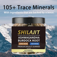 Gummies OEM Shilajit de l'Himalaya, Ashwagandha, Sea Moss et plus, saveur Blue Razz, 60 unités