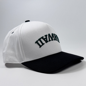 Nuevas <span class=keywords><strong>Gorras</strong></span> de Béisbol de Moda con Bordado 3D Invertido de Dos Tonos y 5 Paneles, <span class=keywords><strong>Gorras</strong></span> Deportivas Personalizadas con Nombre y Ciudad, con Cierre a Presión para Adultos - Product Image 3