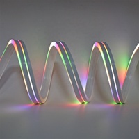 Ruban LED flexible néon RVB Tuya adressable DC5V 5m avec télécommande et contrôleur musical, 60 LED/m SMD 5050