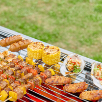 Barbecue portable en acier inoxydable au charbon de bois, pliable, pour le camping, les pique-niques, les fêtes de jardin, la cuisine à domicile et les événements.
