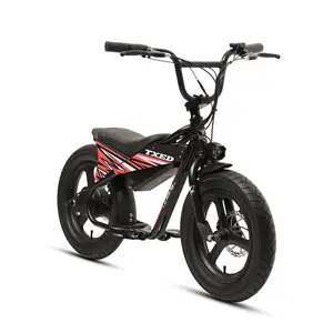 TXED 16英寸儿童自行车250瓦电机单速电动儿童自行车骑行儿童电动自行车