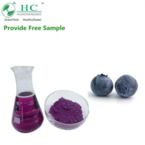 100% Anthocyandins Pure Bosbessen Fruit Poeder/Bosbessen Sap Poeder/Blueberry Extract Poeder