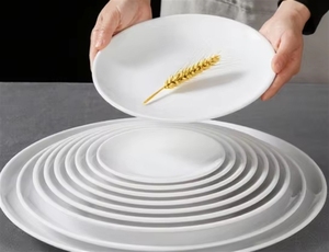 Grandes quantités d'assiettes et de tasses en mélamine - Plastique, 6/7/8/9/10/11/12 pouces - Product Image 2