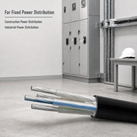 Câble d'alimentation pour conduits intérieurs, âme en aluminium, isolation XLPE, gaine en PVC, pour systèmes électriques de bâtiments