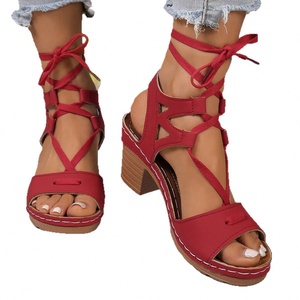 Chaussures de mariage pour femmes style européen et américain 2026, sexy, été/hiver, légères, à talon compensé ultra-haut, à brides croisées en T, style coréen - Product Image 5