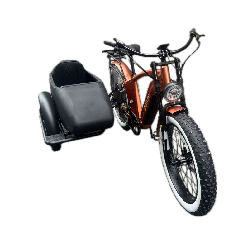 Eバイクサイドカー大人用電動三輪車自転車3輪電動自転車電動