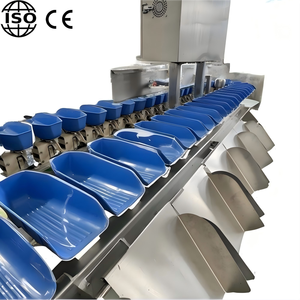Sistema de Clasificación de Peso Altamente Automatizado para el Procesamiento de Aves de Corral, Línea de Producción Optimizada, Equipo de Clasificación Eficiente - Product Image 1