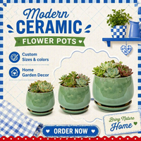 Pots à succulentes en céramique au design moderne et épuré, pots à cactus pour bureau et table, pot de fleurs d'usine