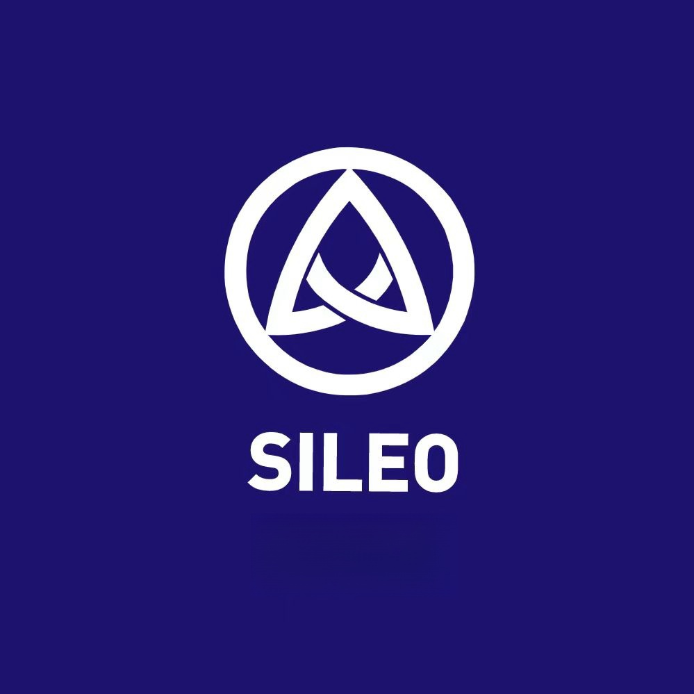 Yiwu Sileo Import And Export Co., Ltd. logo