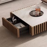 Table basse nordique avec dessus en marbre de rangement Tables centrales modernes Salon Ménage Ensemble de table basse carrée