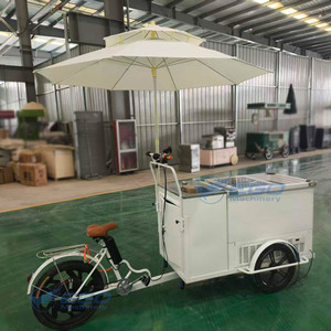 Mini Remolque Eléctrico Móvil para Desayunos, Snacks, Comida Rápida, Helados y Bebidas Frías en Venta con Sombrillas - Product Image 3