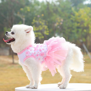 Vêtements pour animaux de compagnie en coton mignon, printemps été, jupes tutu pour chiots, robe de fête pour animaux de compagnie, robes de princesse, dentelle, robe de demoiselle d'honneur pour <span class=keywords><strong>chien</strong></span> - Product Image 6