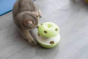 Interaktives Katzenspielzeug Flatternder Schmetterling Federspielzeug für Katzen Aktiviert Kätzchen-Spielzeug - Product Image 5