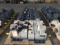 Moteur antidéflagrant basse tension pour applications minières 380V ExdIIBT4 avec protection IP55, bobinage de rotor en cuivre, moteur AC antidéflagrant
