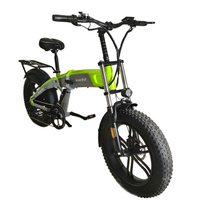 Vélo à neige électrique haute puissance Arrow Wolf 20 pouces, double moteur, cadre en alliage d'aluminium, 7 vitesses, jusqu'à 25 km/h, 48V, 50-60 Nm de couple