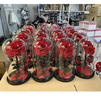 Cupule de la bella y la bestia flor en caja de la bella y la bestia la bella y la bestia l'éternité rouge roses dans le verre dôme