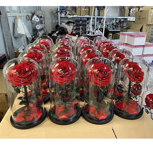 Cúpula de la <span class=keywords><strong>bella</strong></span> y la bestia <span class=keywords><strong>flor</strong></span> en caja de la <span class=keywords><strong>bella</strong></span> y la bestia la eternidad rosas rojas en el domo de vidrio de - Product Image 2