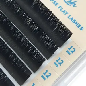 GLAMLASH Individual Nature Flat Ellipse Eyelashes Soft Split-Tips Faux Eyelash Extension Supplies - Product Image 5