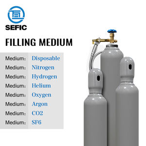 SEFIC Bouteilles d'<span class=keywords><strong>argon</strong></span> de bonne qualité Réservoir de gaz d'<span class=keywords><strong>argon</strong></span> <span class=keywords><strong>20L</strong></span> Cylindre de gaz sans soudure - Product Image 2