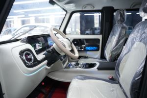 Veicolo Elettrico di Alta Qualità, Piccola Auto Elettrica Cinese a Quattro Ruote, Veicolo a Nuova Energia - Product Image 4